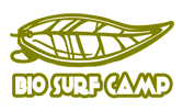Bio Surf Camp