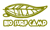bio-surf-camp.png
